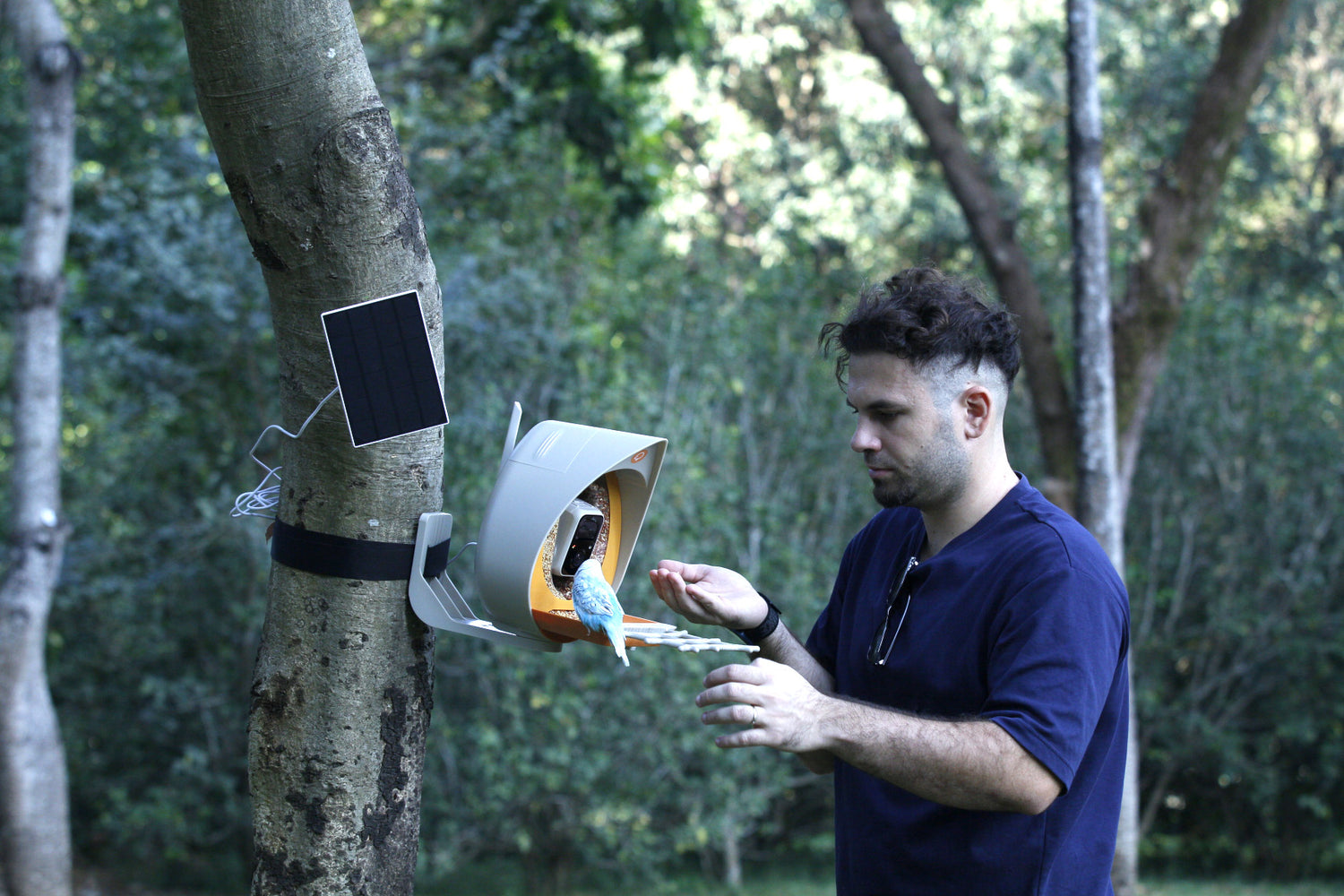 Eco-Friendly Bird Feeding Practices: Balancing Nature's Needs with Human Enthusiasm