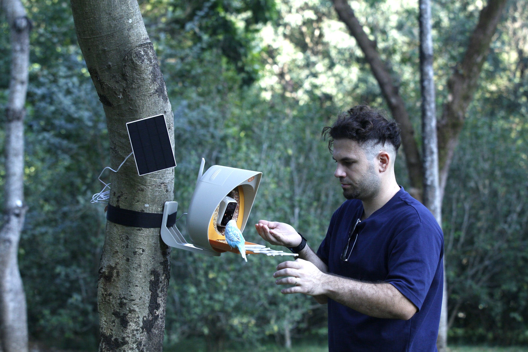 Eco-Friendly Bird Feeding Practices: Balancing Nature's Needs with Human Enthusiasm