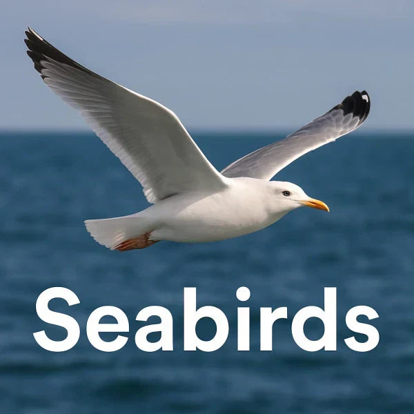 Close-up of a seagull flying over the ocean against a blue background