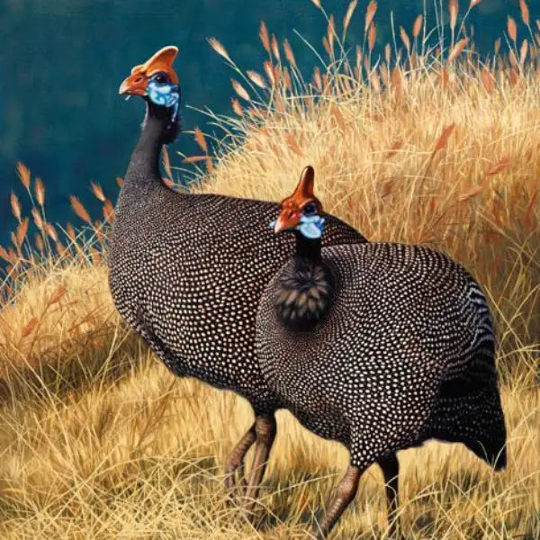 two guinea fowl