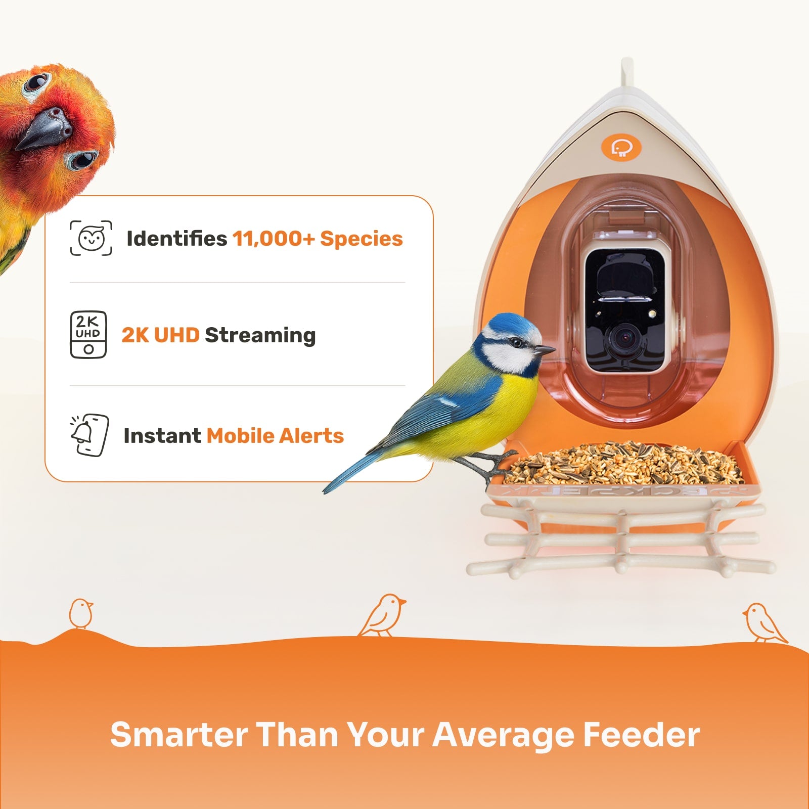 PeckPerk Smart Bird Feeder Holiday Bundle