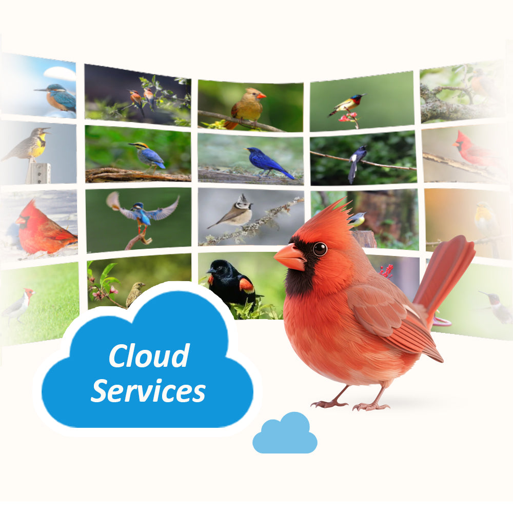 PeckPerk Premium: AI Recognition & Cloud Subscription