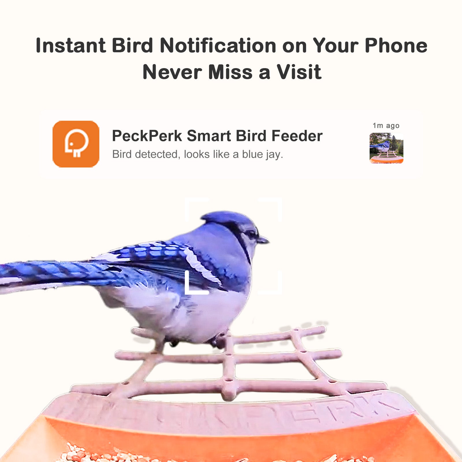 PeckPerk Smart Bird Feeder Mini