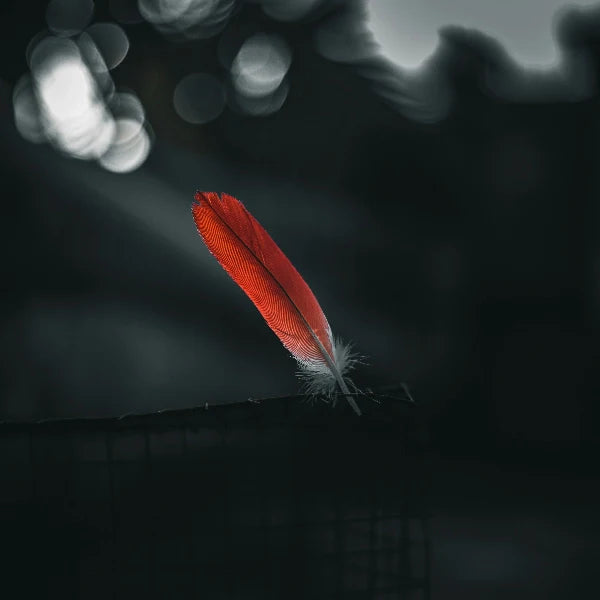 red feather