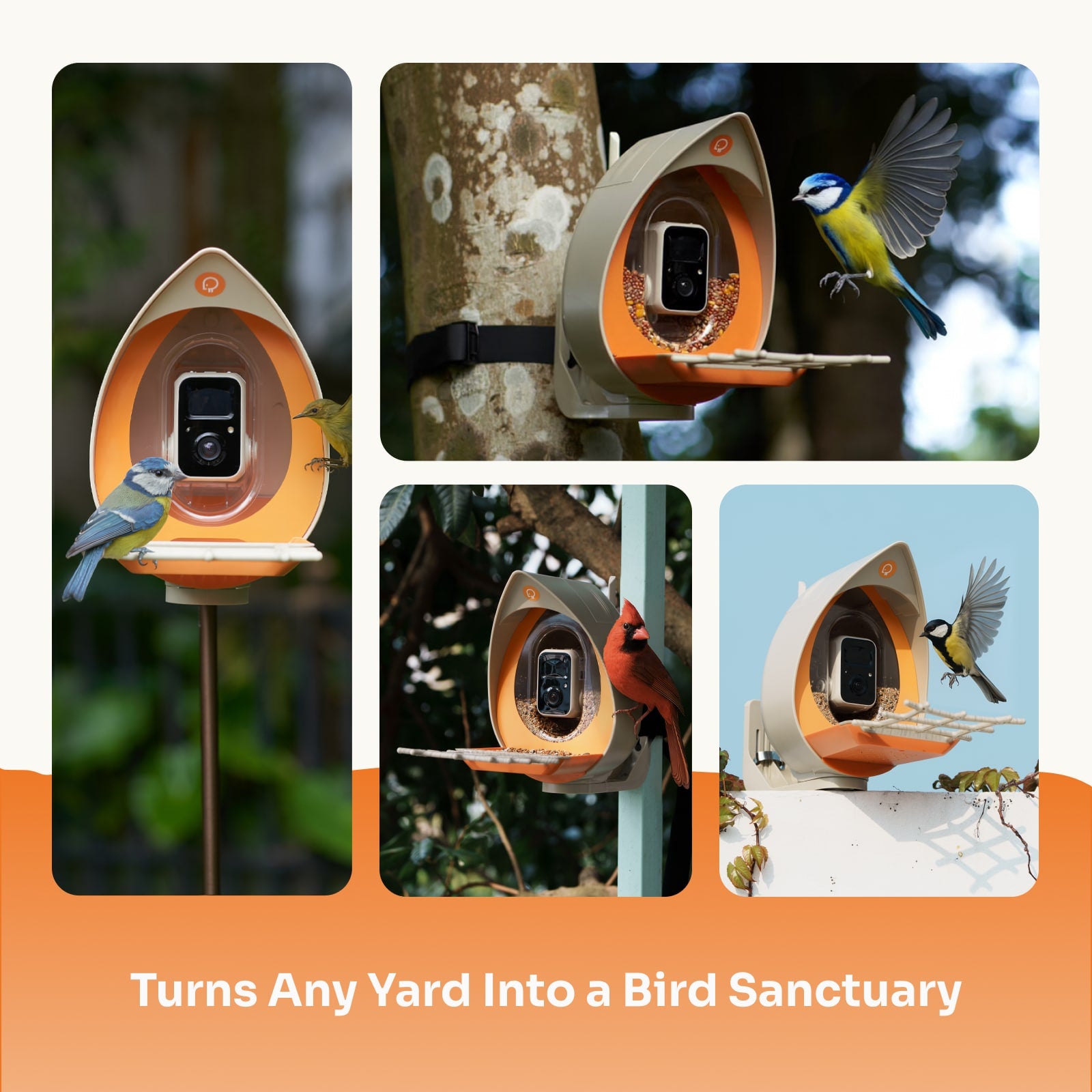 Bird feeder with camera attached, featuring birds interacting with it, set against a natural background.