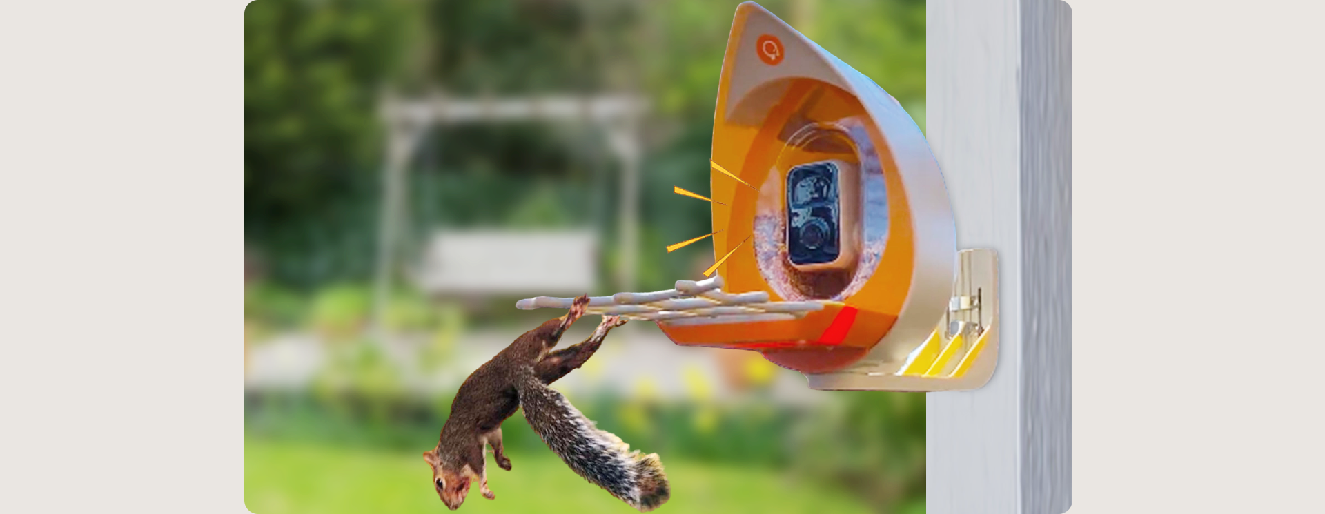 PeckPerk_Smart_Bird_Feeder_Keep squirrels away