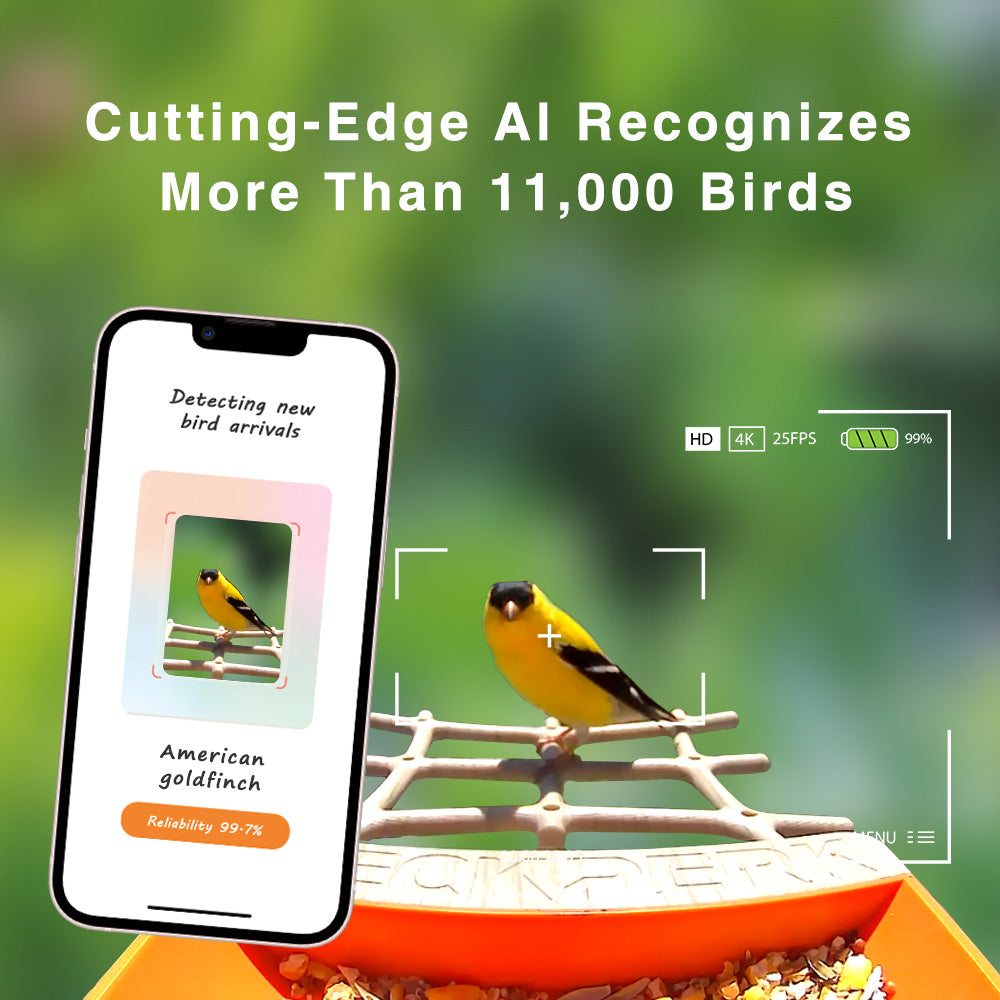 The New Gen Smart Bird Feeder