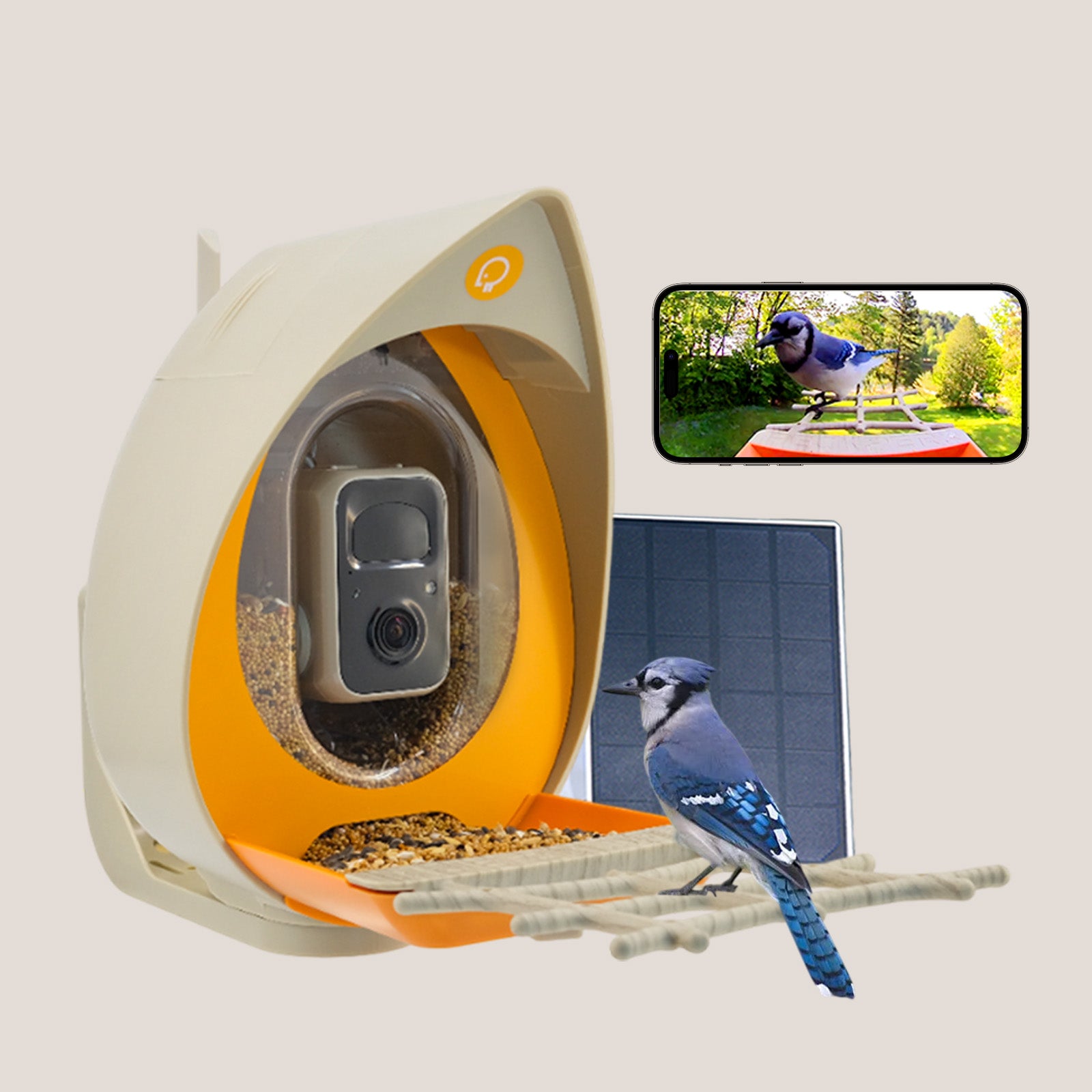 PeckPerk Smart Bird Feeder (Pro Model: AI+Solar Panel）