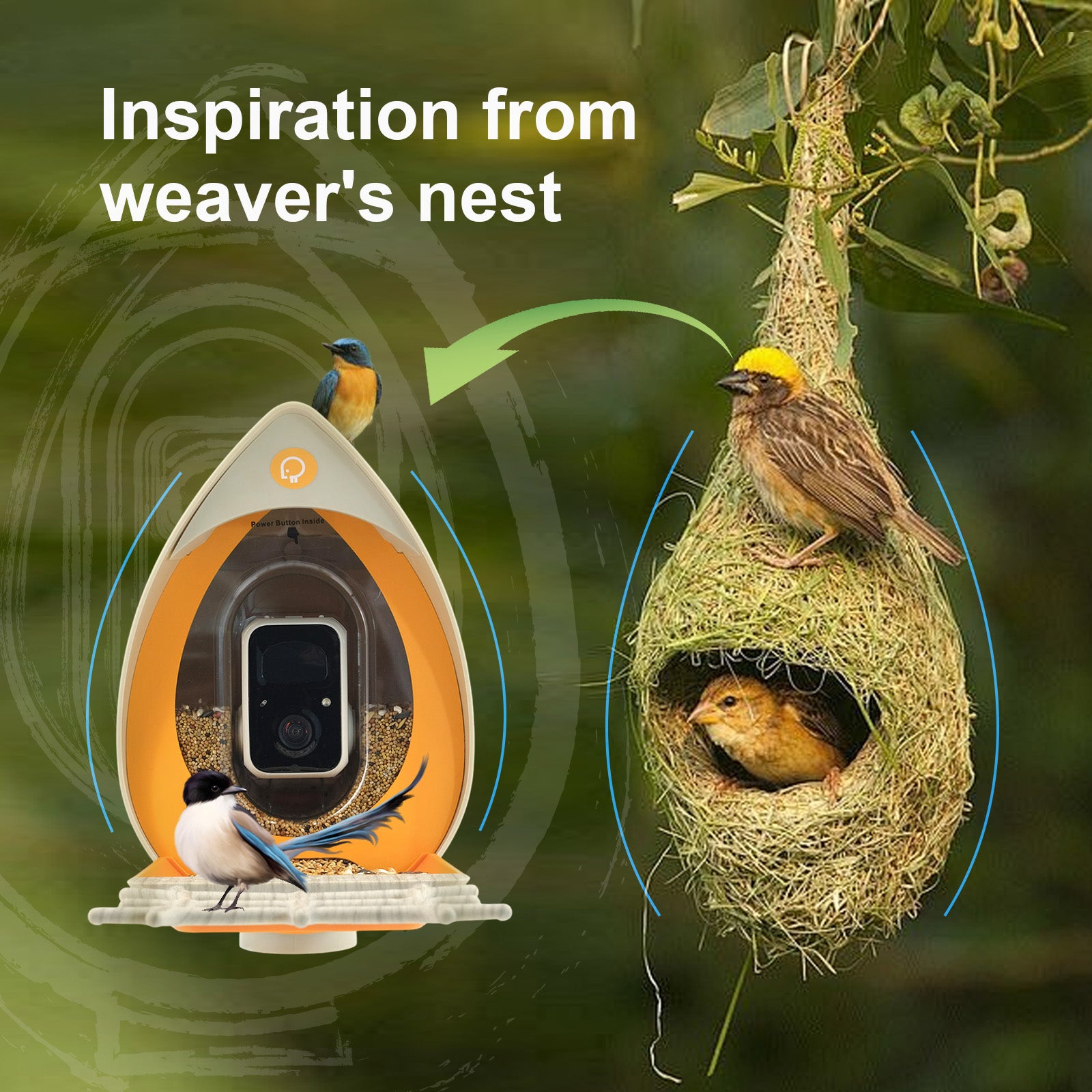 PeckPerk Smart Bird Feeder (Pro Model: AI+Solar Panel）