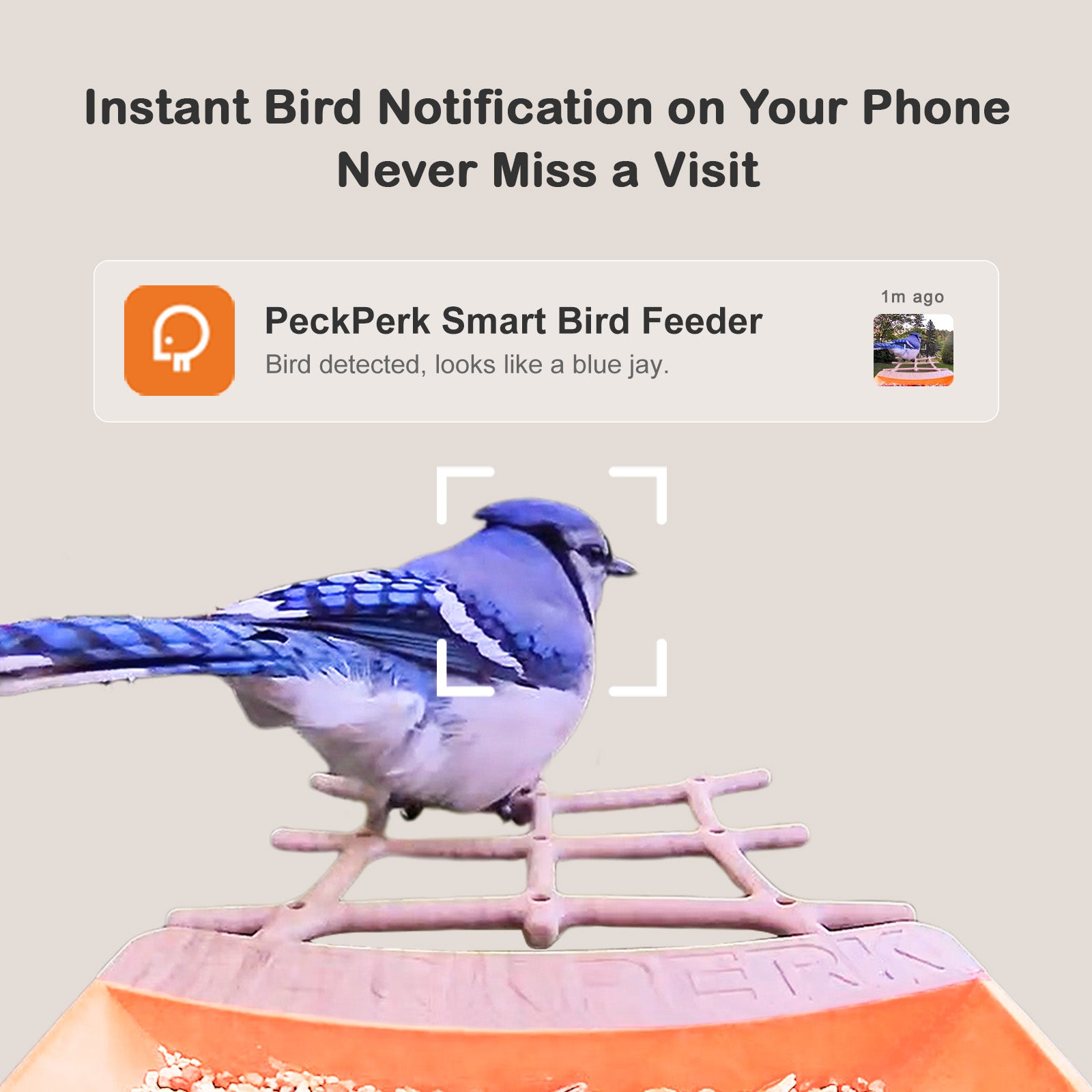 PeckPerk Smart Bird Feeder: The New Gen Smart Bird Feeder