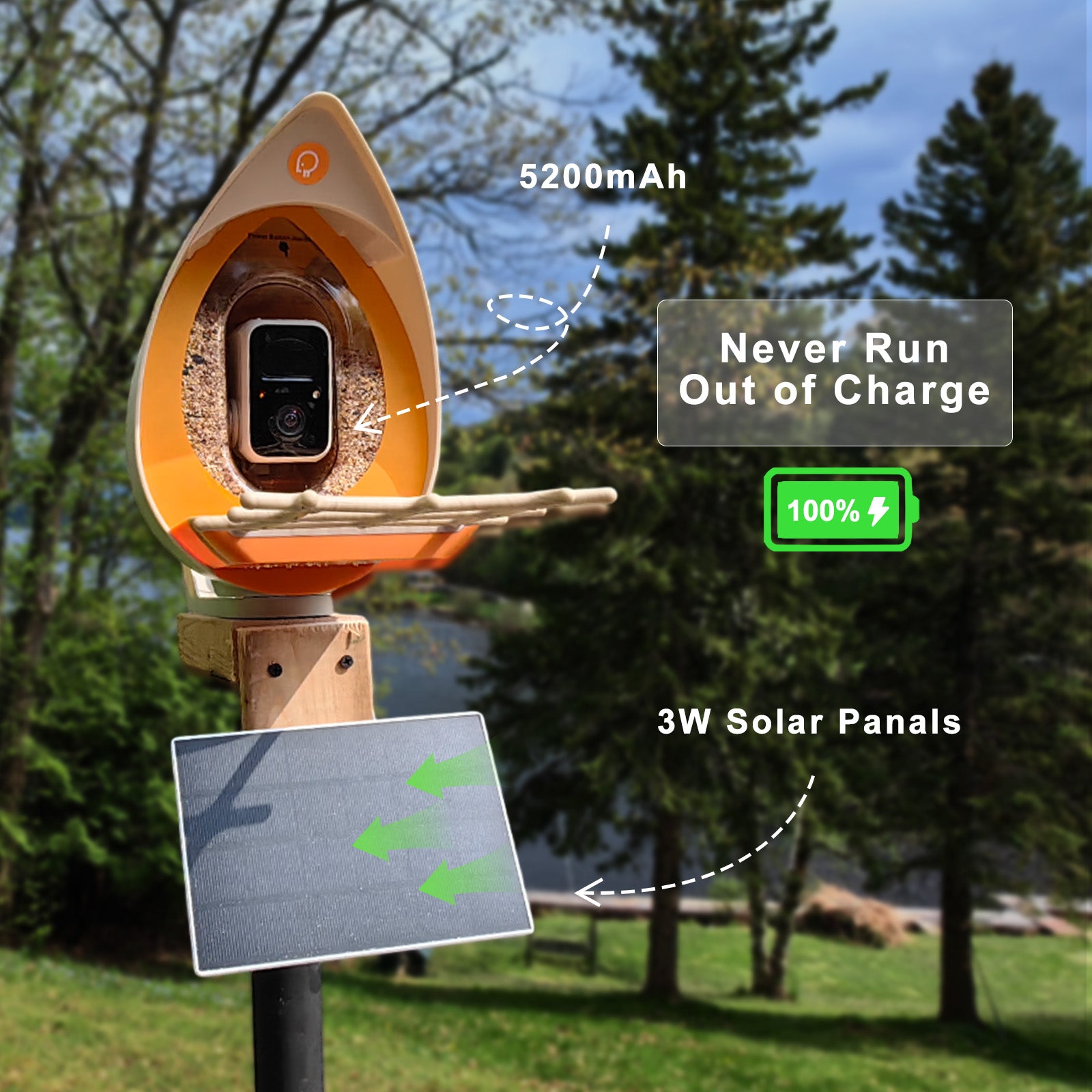 PeckPerk Smart Bird Feeder (Pro Model: AI+Solar Panel）