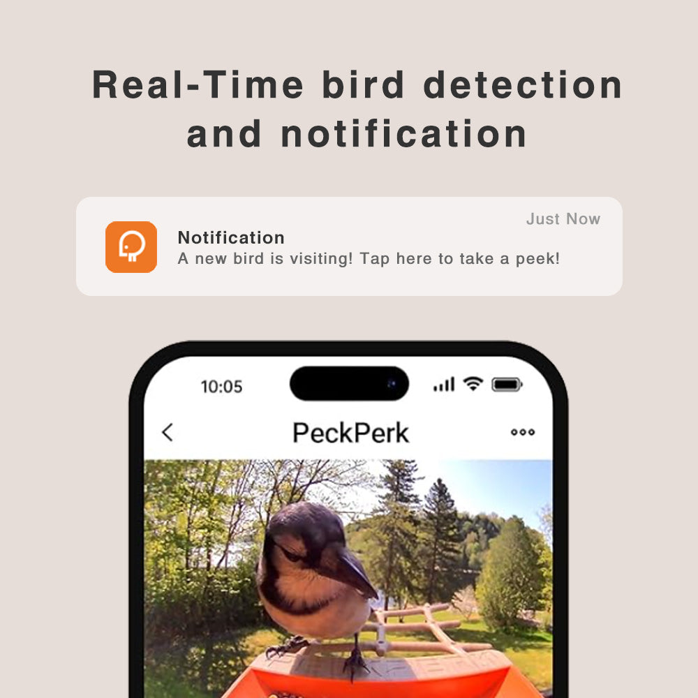 Peckperk_Smart_Bird_Feeder_notify