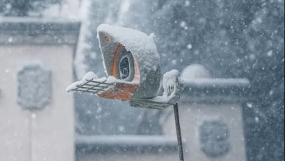 Untitled (1) 1-min 2.jpg__PID:7d6b070b-0fed-4c46-9d6c-5d014d48b37e